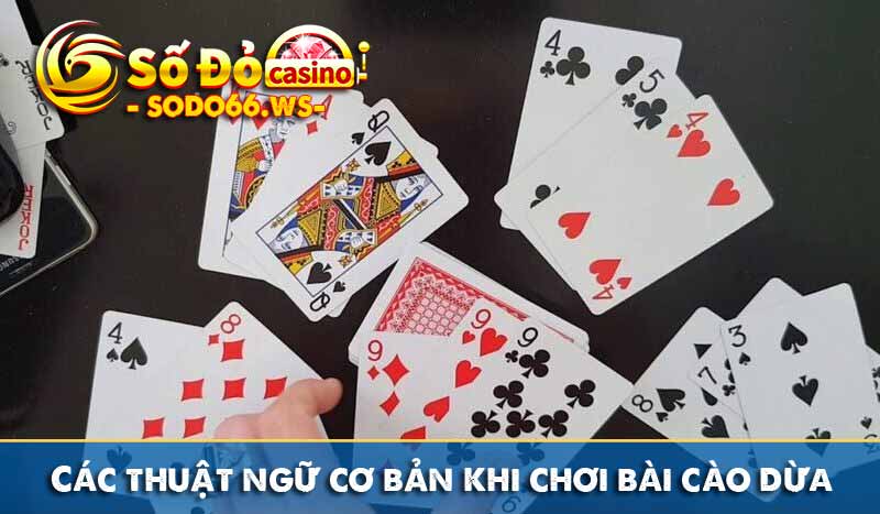 Các thuật ngữ cơ bản khi chơi bài cào dừa