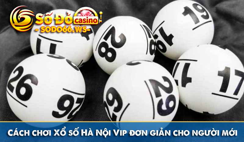 Cách chơi Xổ số Hà Nội Vip đơn giản cho người mới