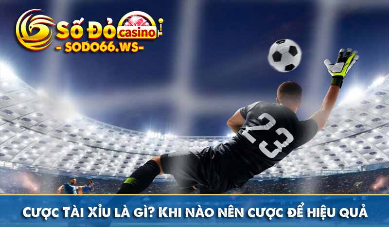 Cược Tài Xỉu là gì? Khi nào nên cược để hiệu quả