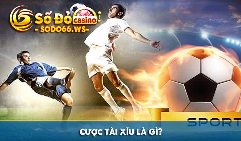 Cược Tài Xỉu Là Gì?
