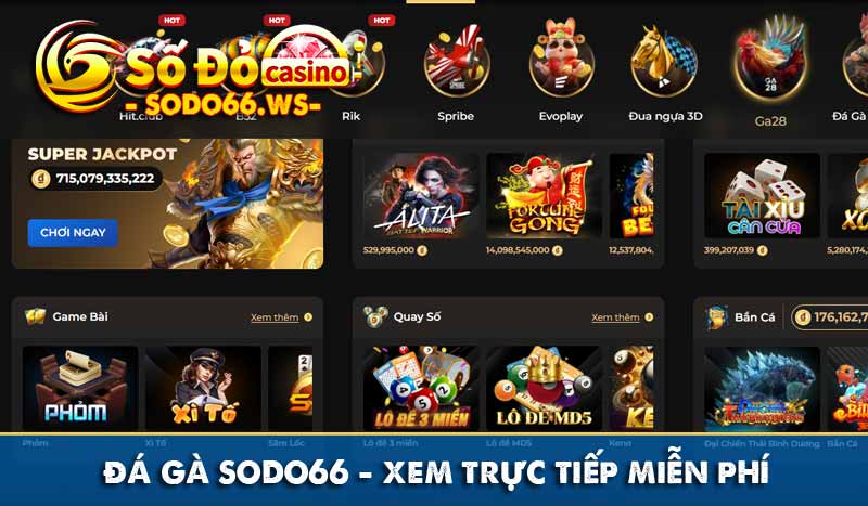 đá gà sodo66 xem trực tiếp miễn phí