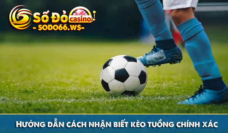 Hướng dẫn cách nhận biết kèo tuồng chính xác