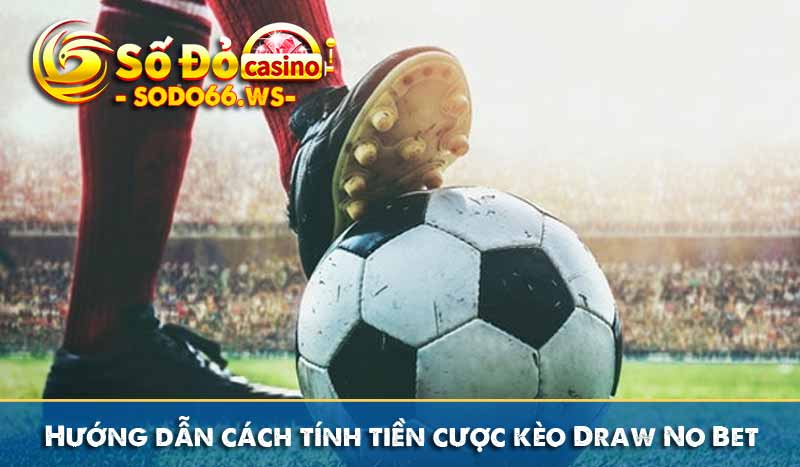 Hướng dẫn cách tính tiền cược kèo Draw No Bet