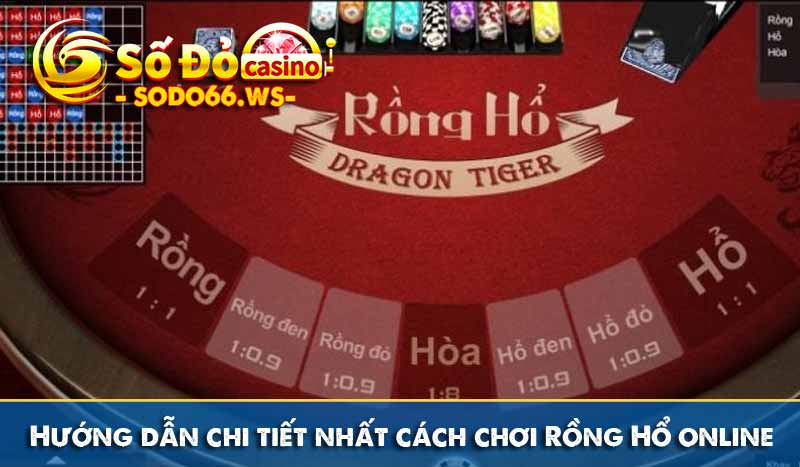 Hướng dẫn chi tiết nhất cách chơi Rồng Hổ online