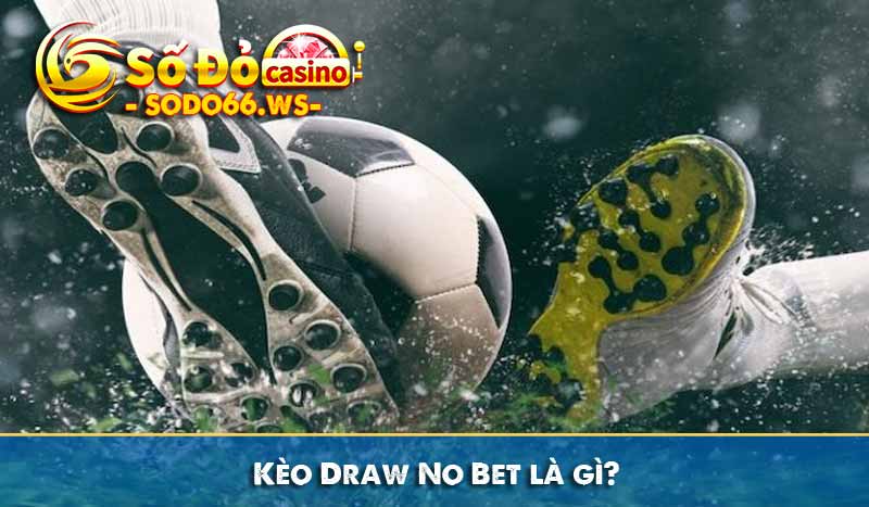 Kèo Draw No Bet là gì?