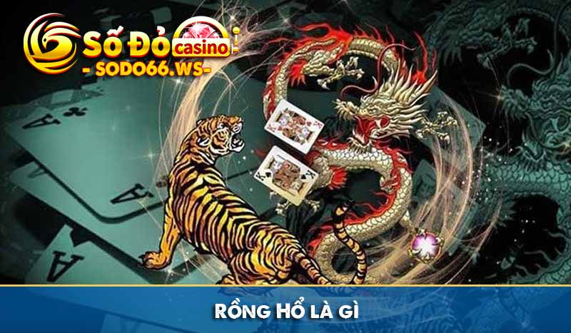 Rồng Hổ là gì